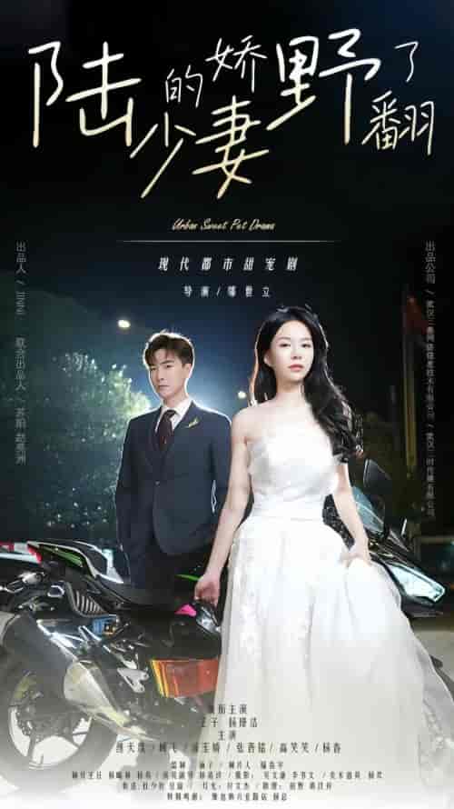 陆少的娇妻野翻了（103集）-初遇资源网