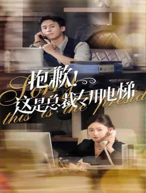 抱歉这是总裁专用电梯（60集全）王寒阳＆四一-初遇资源网