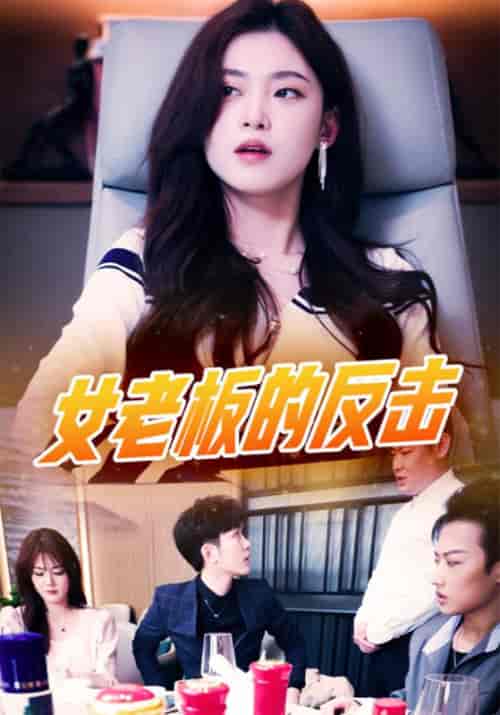 女老板的反击（100集全）黑龙＆张清-初遇资源网