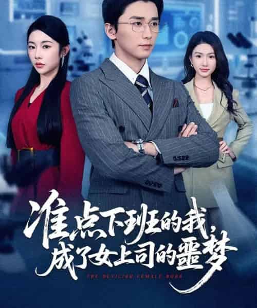 准点下班的我，成了女上司的噩梦（60集全）梅洋＆杨林涛（杨桃）-初遇资源网