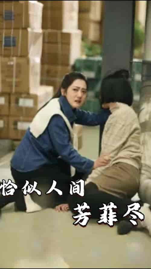 恰似人间芳菲尽(68集)-初遇资源网