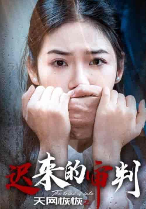 天网恢恢之迟来的审判（31集全）陈建军＆陈小娅-初遇资源网