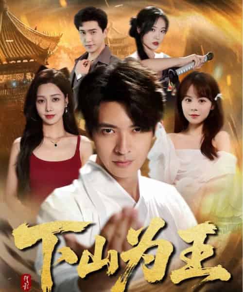 下山为王 （78集）-初遇资源网