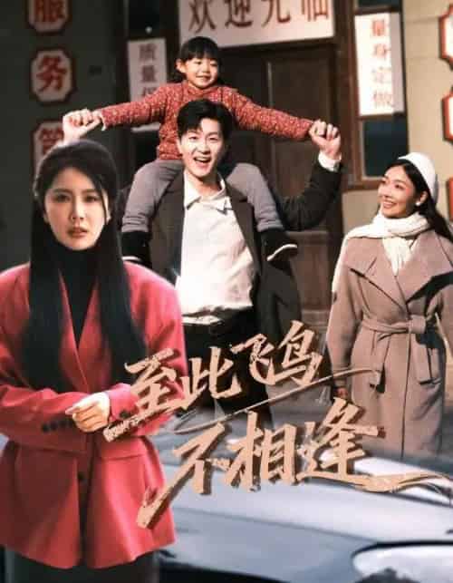 到此飞鸟不相逢（70集全）王鹏＆丁海霞-初遇资源网