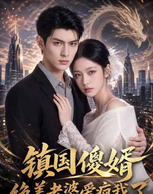 镇国傻婿:绝美老婆爱疯我了(100集全)AI-初遇资源网