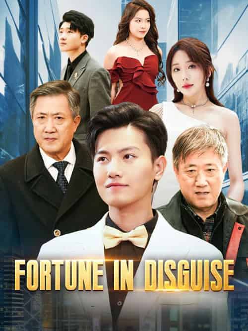 Fortune in Disguise（99集全）Louis＆Crawford-初遇资源网