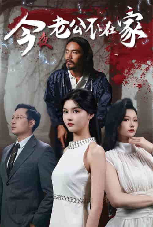 今夜老公不在家(44集全)-初遇资源网