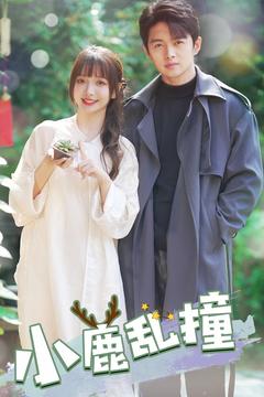 小鹿乱撞（40集全）-初遇资源网