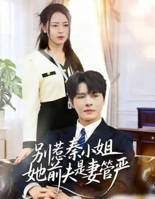 别惹秦小姐她前夫是妻管严（50集全）李彬航＆王思莹-初遇资源网