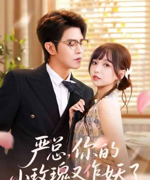 严总你的小玫瑰又作妖了（77集）王朝阳＆杨琳-初遇资源网