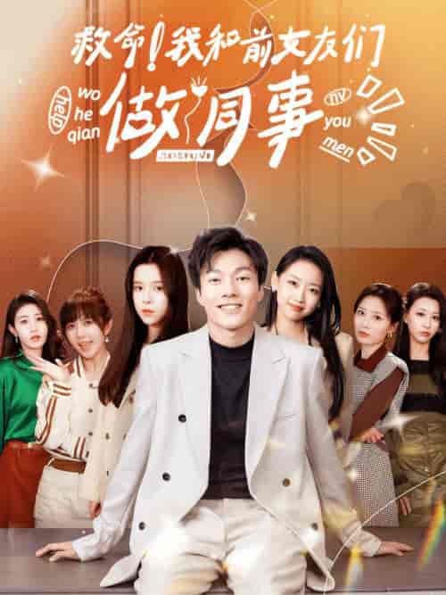 救命！我和前女友们做同事（96集）赵美琦-初遇资源网