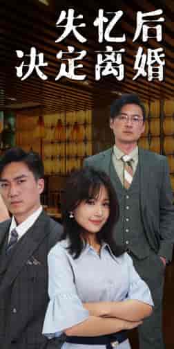 失忆后决定离婚（88集）於珂伊-初遇资源网