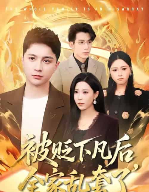 被贬下凡后全家乱套了（88集全）建泽正＆岳舒窃-初遇资源网