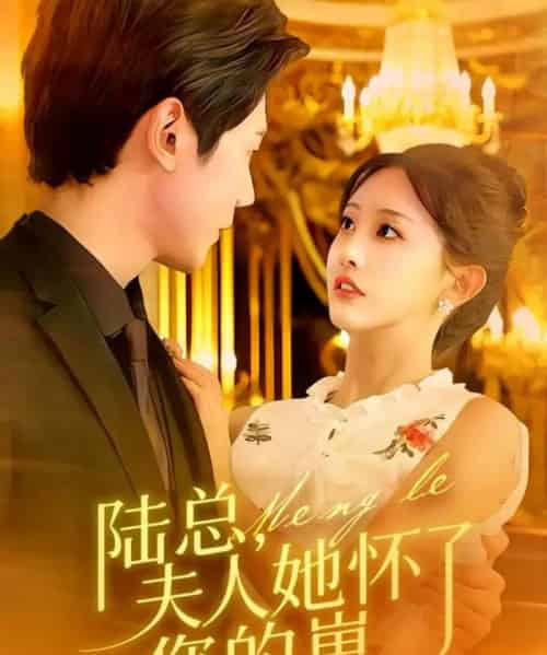 陆总，夫人她怀了您的崽（89集全）何连飞＆李艾笑-初遇资源网