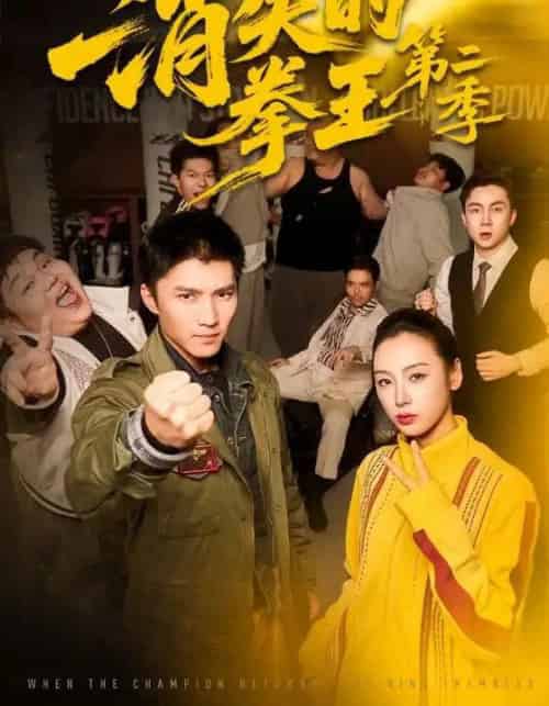 消失的拳王第二季（62集全）李文瑞＆王子行-初遇资源网