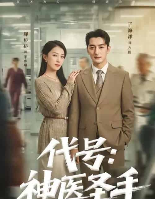 代号：神医圣手（61集全）丁海洋＆柳杉杉-初遇资源网
