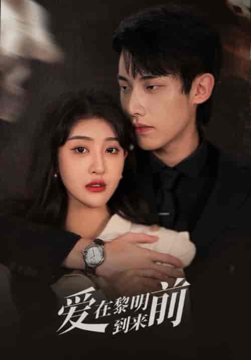 爱在黎明到来前（35集全）韩旭＆姜晚-初遇资源网