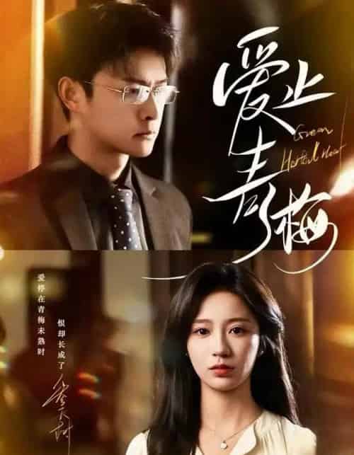 爱止青梅（60集全）杨欢＆何怡婷 - 夸克短剧