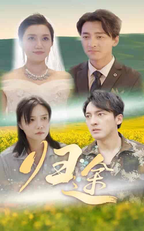 归途（52集）-初遇资源网