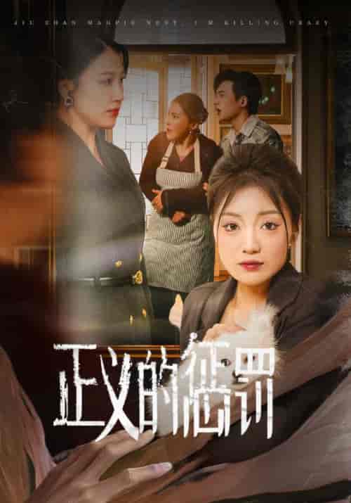 正义的惩罚(58集全)张文杰&林知意-初遇资源网