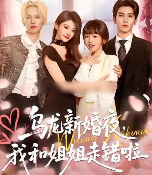 乌龙新婚夜，我和姐姐走错啦（59集全）马骁凡＆烨喵-初遇资源网