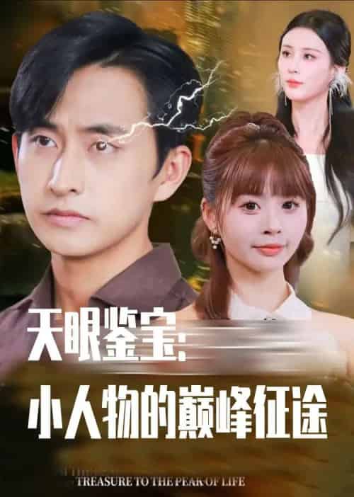 天眼鉴宝小人物的巅峰征途(80集全)潘家锜&洪沛鸿-初遇资源网