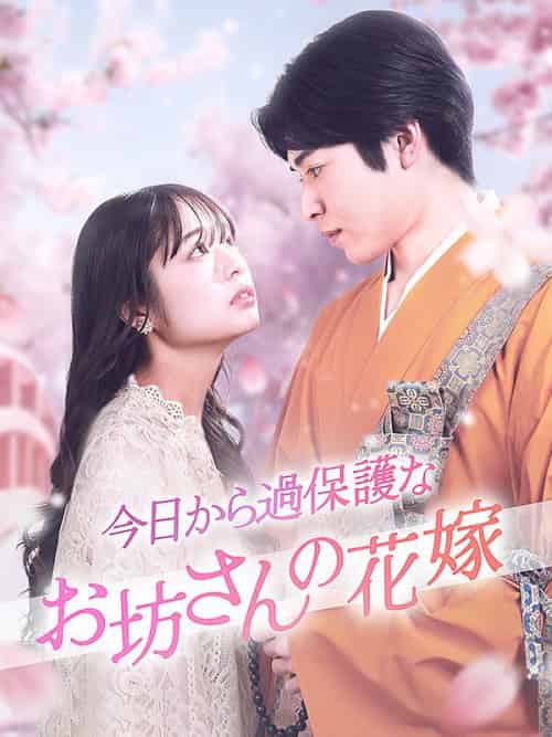 今日から過保護なお坊さんの花嫁（65集全）藤原修一＆月島桜子-初遇资源网