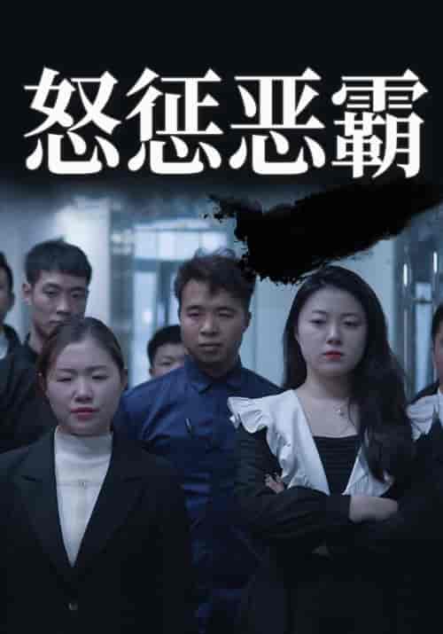 怒惩恶霸(58集全)文哥&董事长-初遇资源网