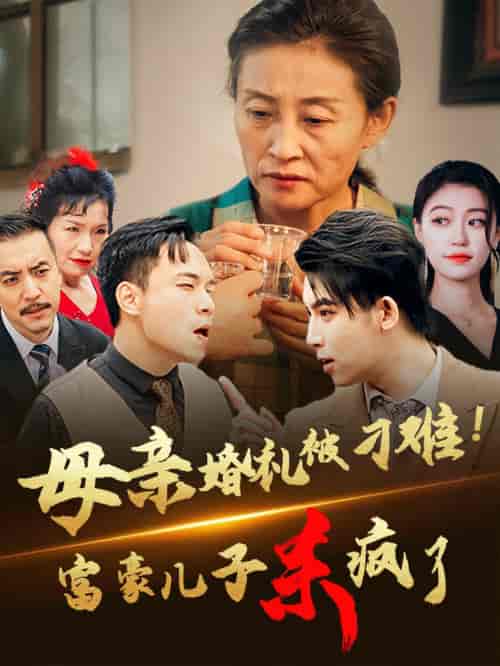 母亲婚礼被刁难首富儿子杀疯了（33集全）-初遇资源网