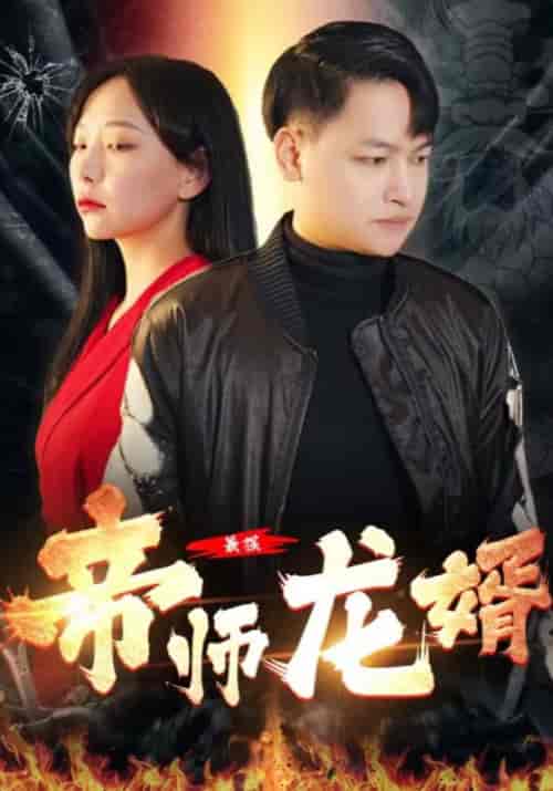 最强帝师龙婿(80集全)叶辰&宋晴雪-初遇资源网