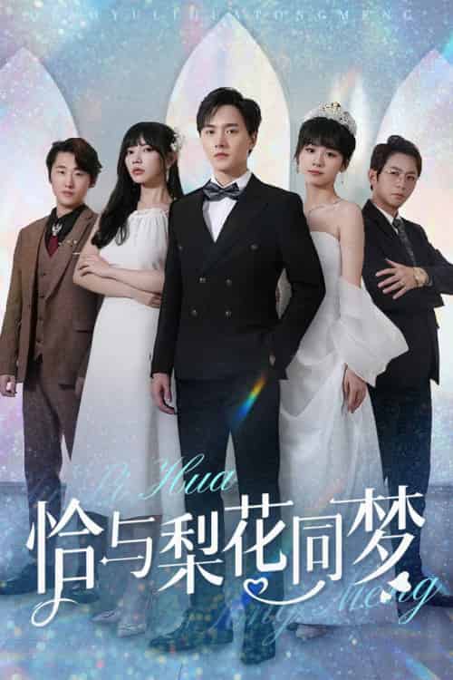 恰与梨花同梦（79集全）吴诺伊-初遇资源网