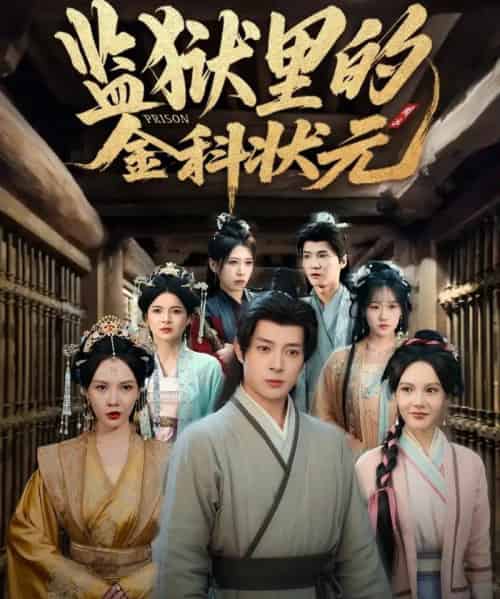 监狱里的金科状元＆隐忍三年出狱后我名动京都（72集全）史宣洪＆倪瑜坤-初遇资源网