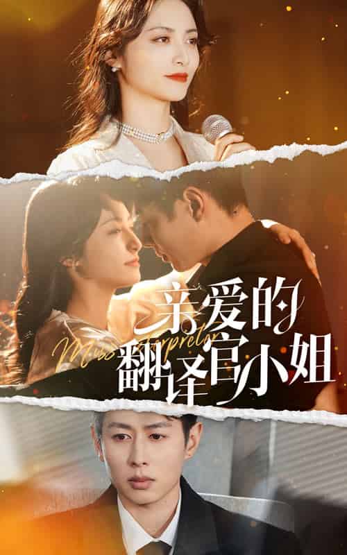 亲爱的翻译官小姐（51集）-初遇资源网