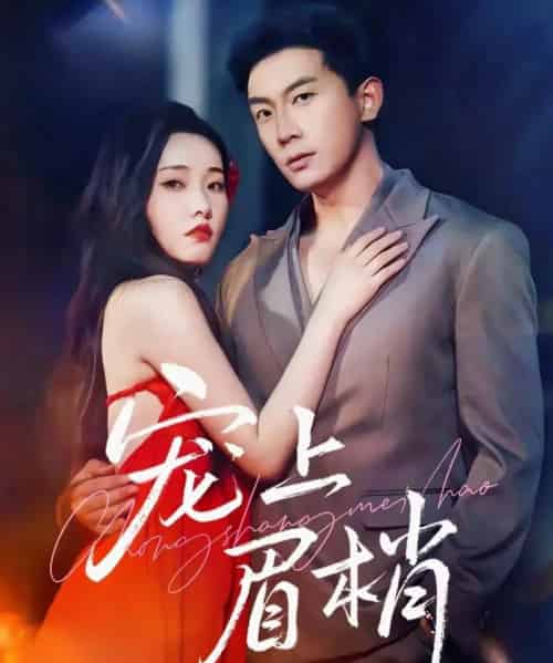 宠上眉梢（51集全）宋名申＆田睿思-初遇资源网