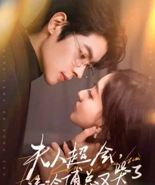 夫人超会,清冷傅总又哭了(77集全)董一&修雨秀-初遇资源网