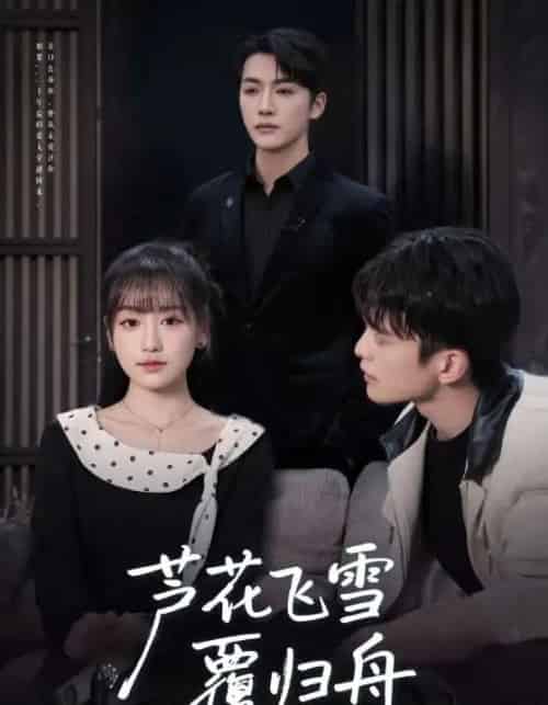 芦花飞雪覆归舟（77集全）李咏靖＆武伯言-初遇资源网