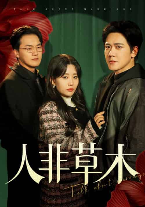 人非草木（42集全）陈锋＆沈笙笙-初遇资源网