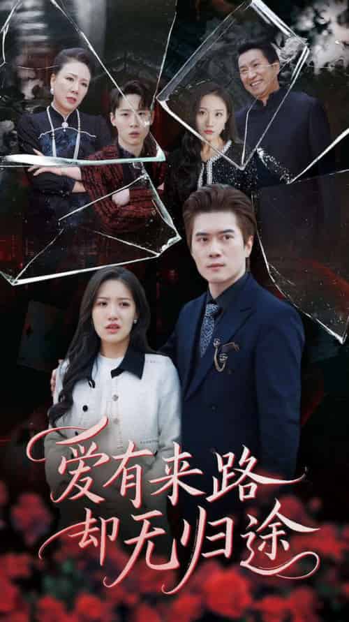 爱有来路却无归途（40集全）-初遇资源网