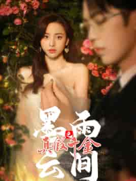 墨雨云间之真假千金（72集）陶思沂-初遇资源网