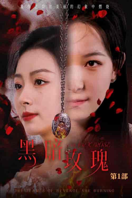 黑暗玫瑰(84集全)王艺阳-初遇资源网