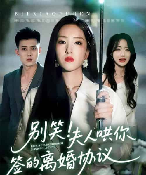 别笑夫人哄你签的离婚协议（74集）夏玄子＆黄文博-初遇资源网