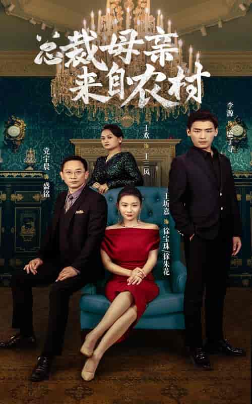 总裁母亲来自农村（58集全）-初遇资源网