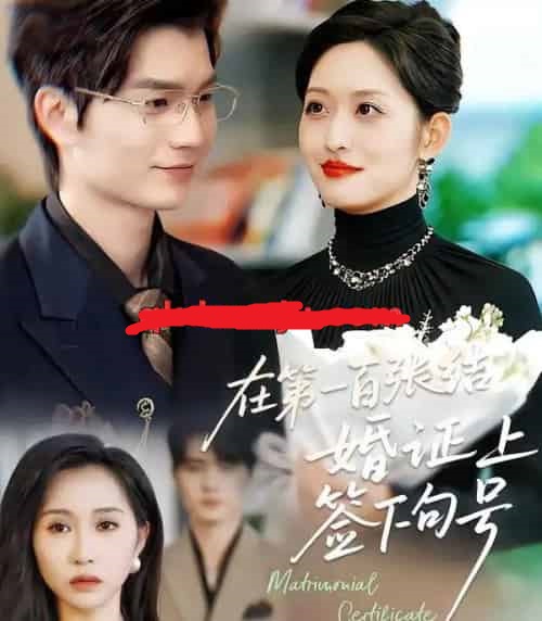 在第一百张结婚证上签下句号（50集全）黄斯琪＆张嘉松-初遇资源网