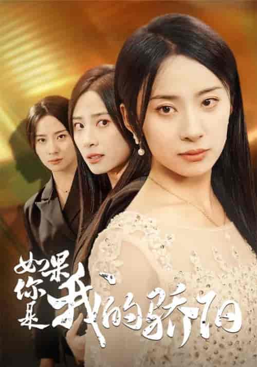 如果你是我的骄阳（30集全）杨洛仟-初遇资源网