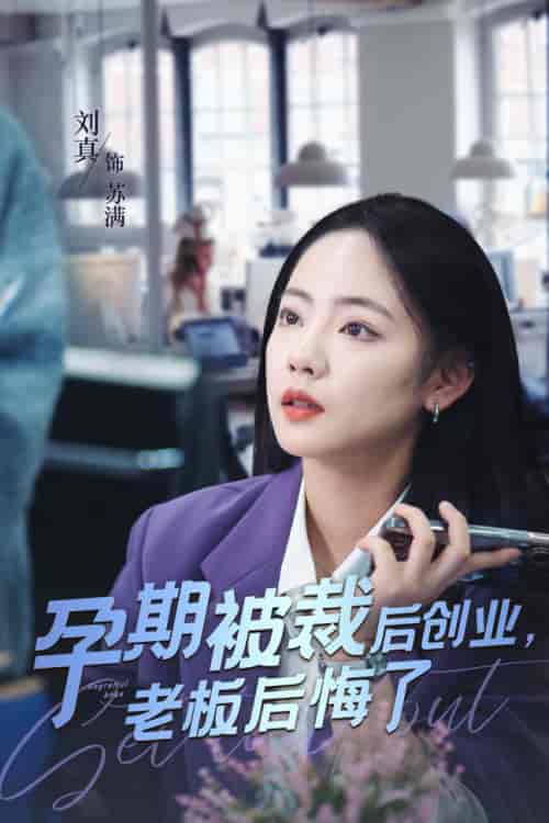 孕期被裁后创业老板后悔了(45集全)-初遇资源网
