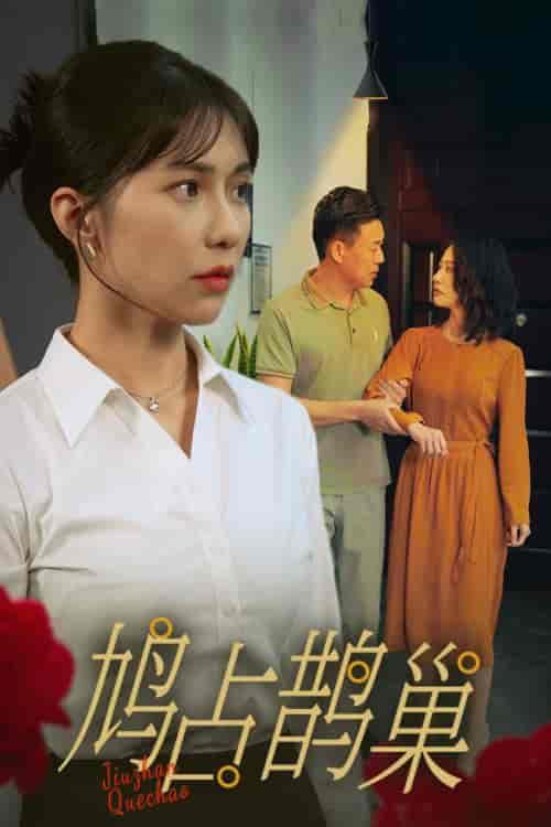 鸠占鹊巢（45集全）-初遇资源网