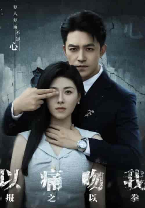 以痛吻我报之以拳(30集全)陈磊&柳如烟-初遇资源网