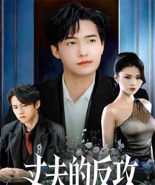 丈夫的反攻（78集全）刘小龙＆张艺轩-初遇资源网