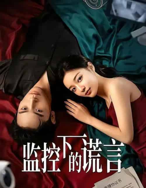 监控下的谎言（50集全）AI-初遇资源网