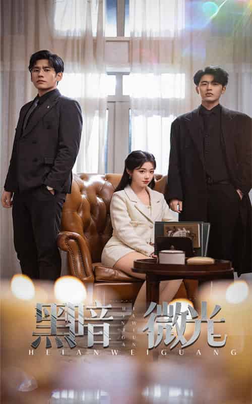 黑暗微光（66集全）墨凝-初遇资源网